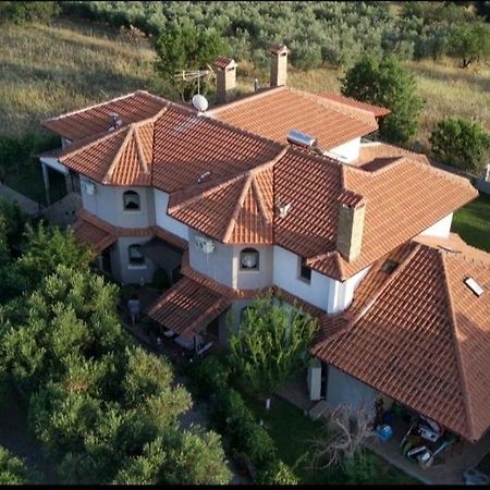 Alice Wonderland Home Nea Flogita Halkidiki Ngoại thất bức ảnh