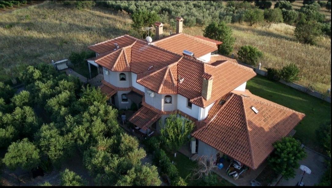 Alice Wonderland Home Nea Flogita Halkidiki Ngoại thất bức ảnh